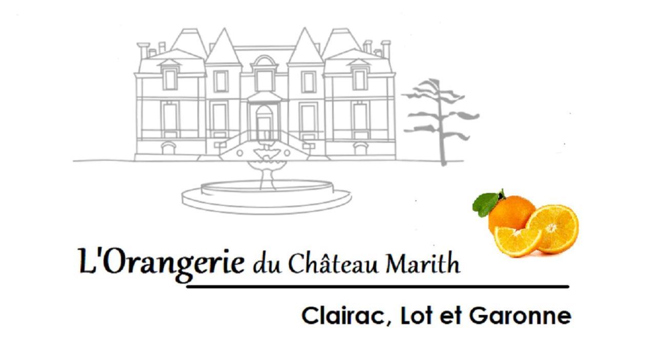 Orangerie Du Chateau Marith - Domaine Avec Piscine Clairac  Exterior photo
